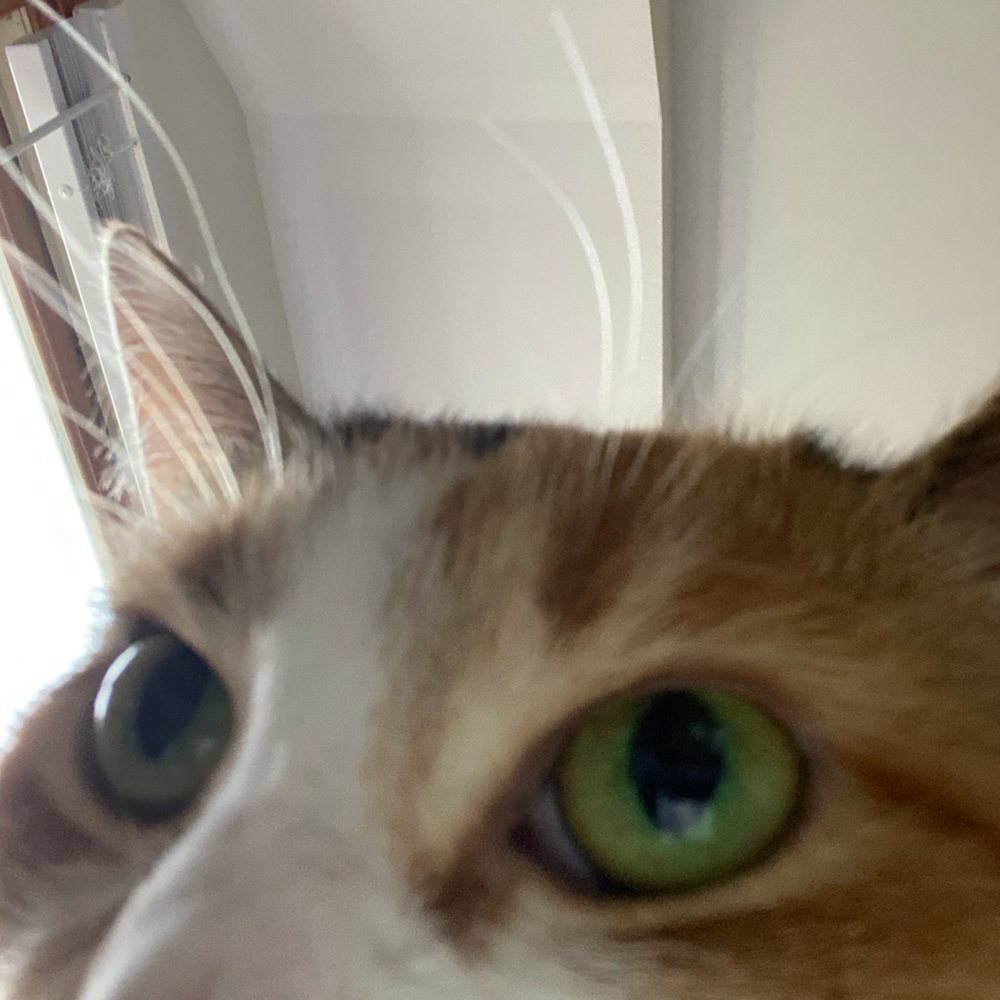 Meet your Posher, Tobias